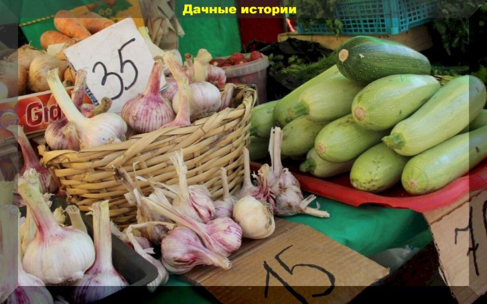 ��� ���������� ������ ������� � �������� ������: ������� ��������� �������