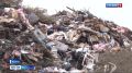 Твёрдые коммунальные отходы Котласа вновь будут вывозить на местный полигон
