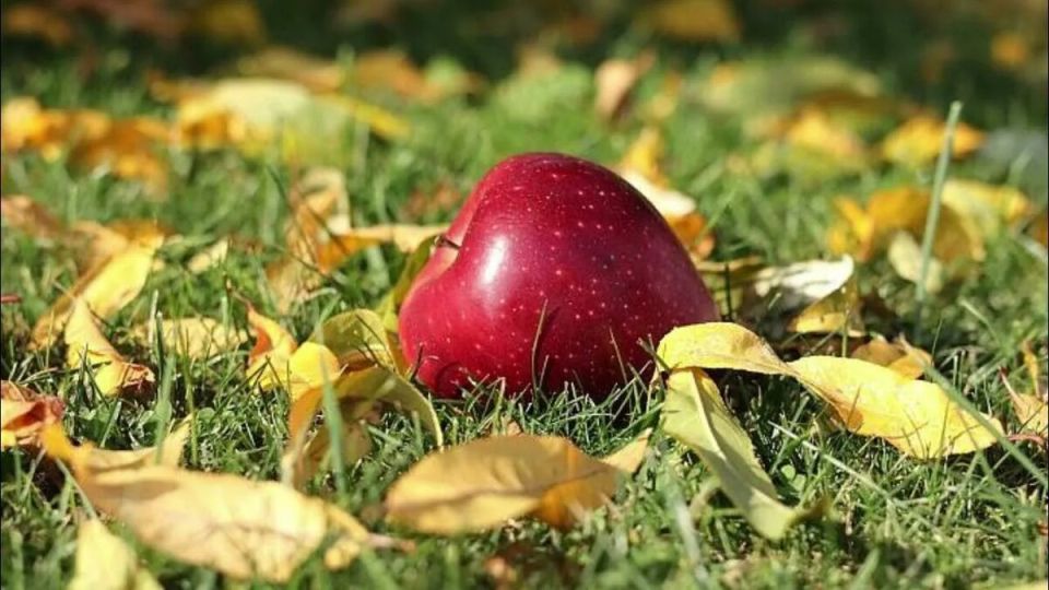 ������ � �������� ��������: ��� ����������� ��� � ���� � ����