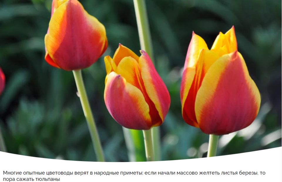 �������� �� ����� �������: ����� � ��� ������ � 2025 ����