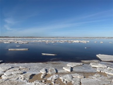 ���� ����������� ��������� ��������� ��� ���� 17 ������