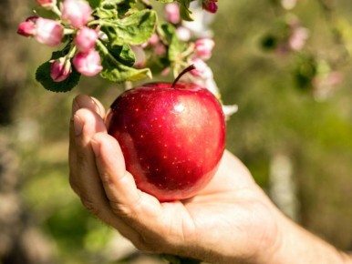 ��� ��������� �� �������� ������: ������� ��������� ������