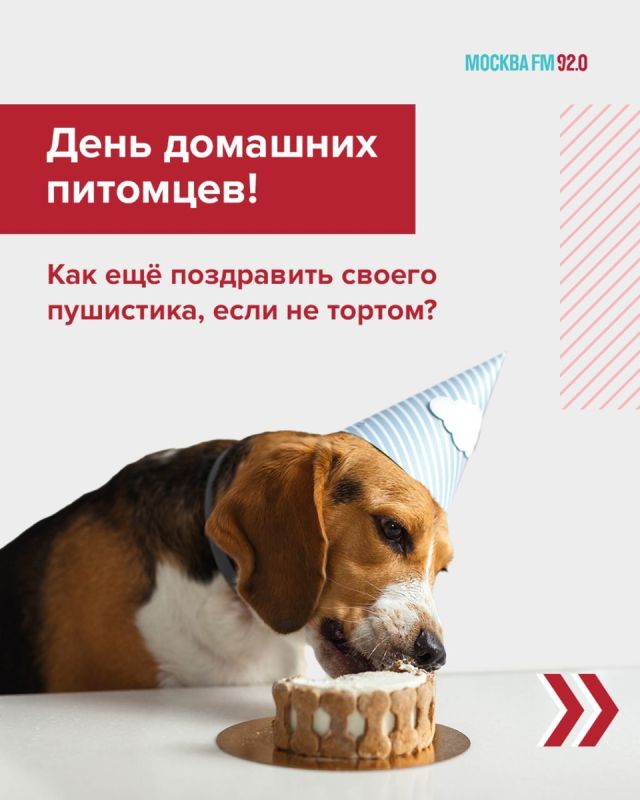 �������� ��� ������ ���������: ��� ���������� �����
