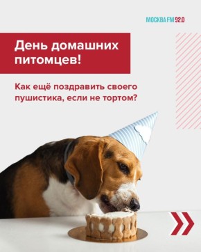 �������� ��� ������ ���������: ��� ���������� �����