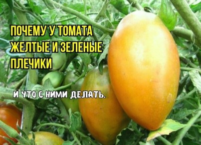 ������ �������� �� ������ ��������: 3 ������� � ������ ��� ���������� ������