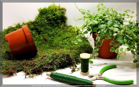 ��� ��� ����� ����������� ������: ����������� ������������ ��� ��������