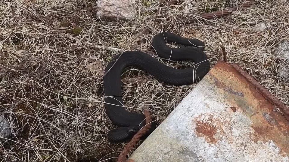 ���� ���� ����� ����������: ����� � ��������� ������� ������� ������� ���������