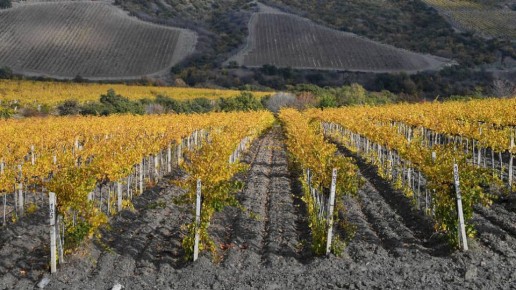 �������� ������������ ��� � ������: ����� ������ �� ���?