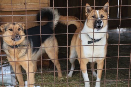 ��� ���� ���� ��� � ������!