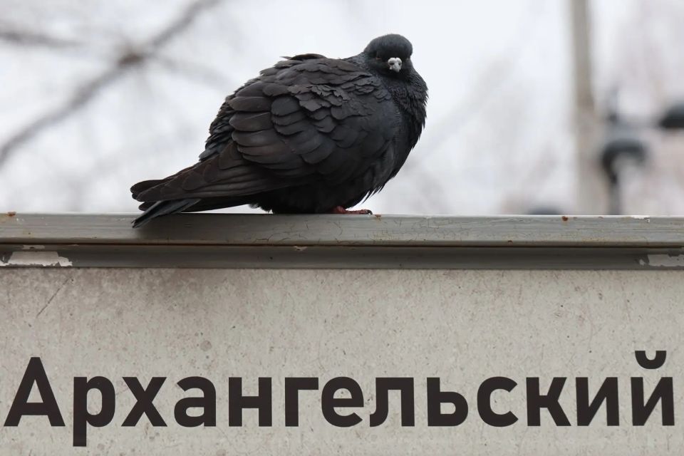 ������ ��������������: ����� �� ��������� �����, ��� ���� ������ ������ ��������!