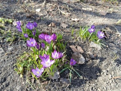 ������ ����� � ���������