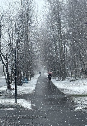 ������ � ������������: ������, ����, ����� �� ��������� � ����