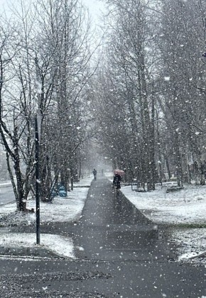 ������ � ������������: ������, ����, ����� �� ��������� � ����