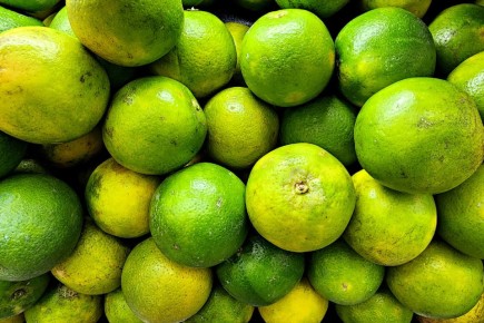 ��� ������� ������ �� ��������� � ������������� ������������: ������� �������� ������������