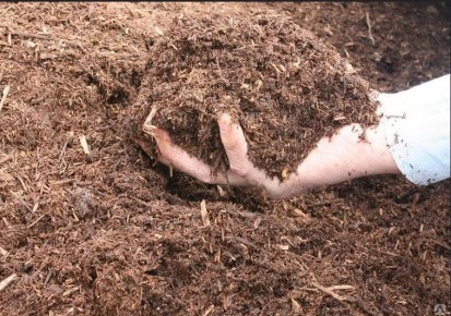 ��� �������� ����� ��������� ������� ��� ������ ����