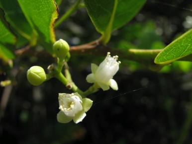 �����: ���������� ��������� ����� � ������� ��������