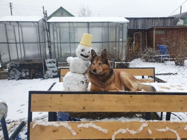 ������ ����, ������!. ����� � ������������� ������� ���������� ��������