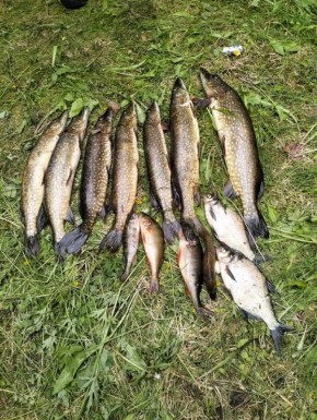 �������� ������: ��� ����� ����� ������� �������