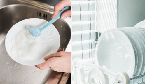 ��� ����� ���� ������� ������ ������ �������� ����� �����������