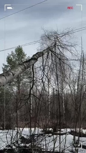 "�������" � ��� ���� ��������� ���������� ������ ��� ���������� ����������� ������� � ������ ������ � ���������� ������ � ������������� �������