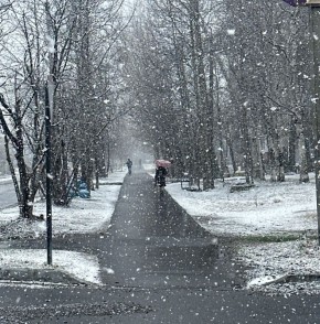 ������ ����, ������!. 29 ������ ������� ����� ����������, ��� ����� �������