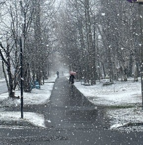 ������ ����, ������!. 29 ������ ������� ����� ����������, ��� ����� �������