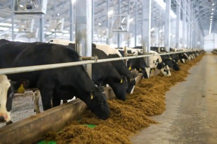 ��������� ����������: ���������� ��������� ��������� ��������� ��������