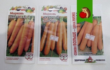 ��� ������� ��������� ������ ��� �������: ���� ��������� ������������� �������