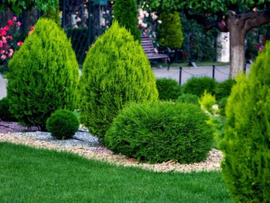 �����, ������� �� ������� ������: ��� ������� ��������� ������ ��� ��� ������ ������