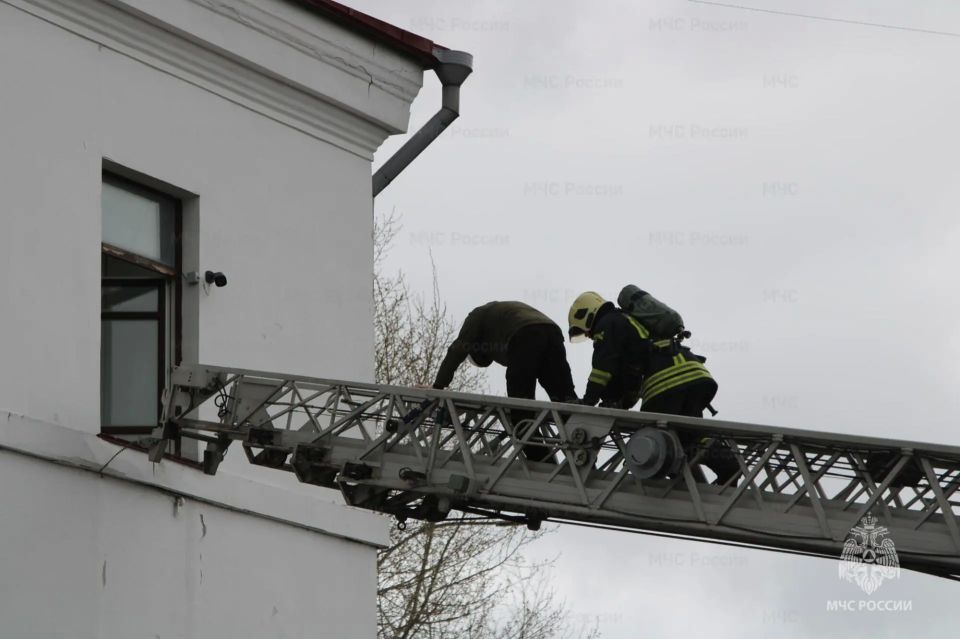 Сотрудники Главного управления МЧС России по Архангельской области приняли участие в учениях на объекте Росгвардии Сотрудники Главного управления МЧС России по Архангельской области приняли участие в учениях на объекте Росгвардии