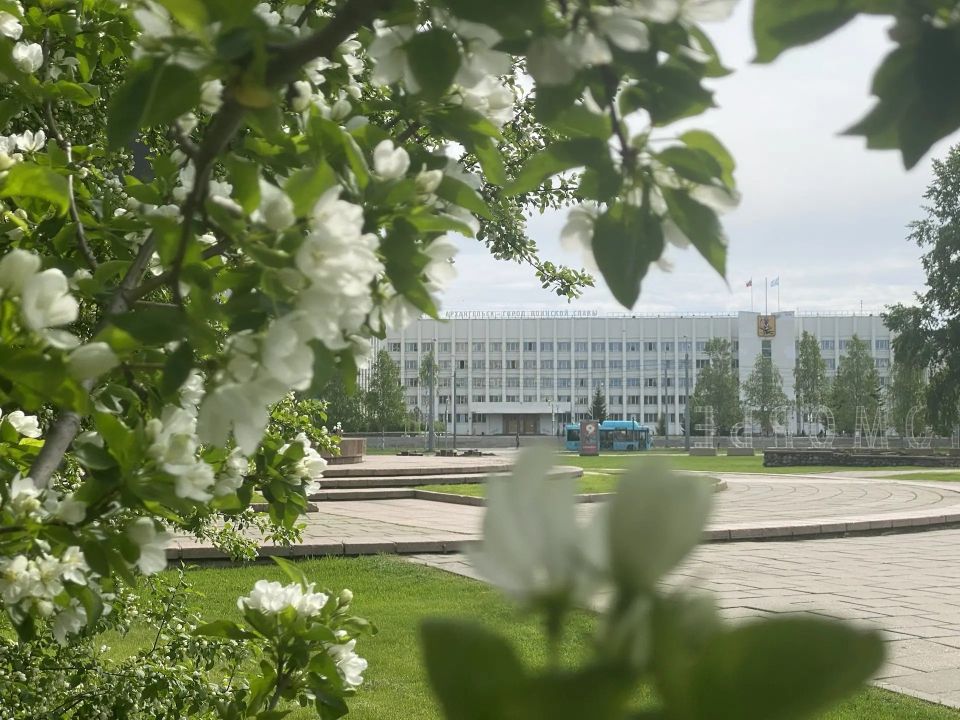 На площади Ленина начинается цветение яблонь