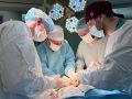 Сегодня – День медицинского работника!