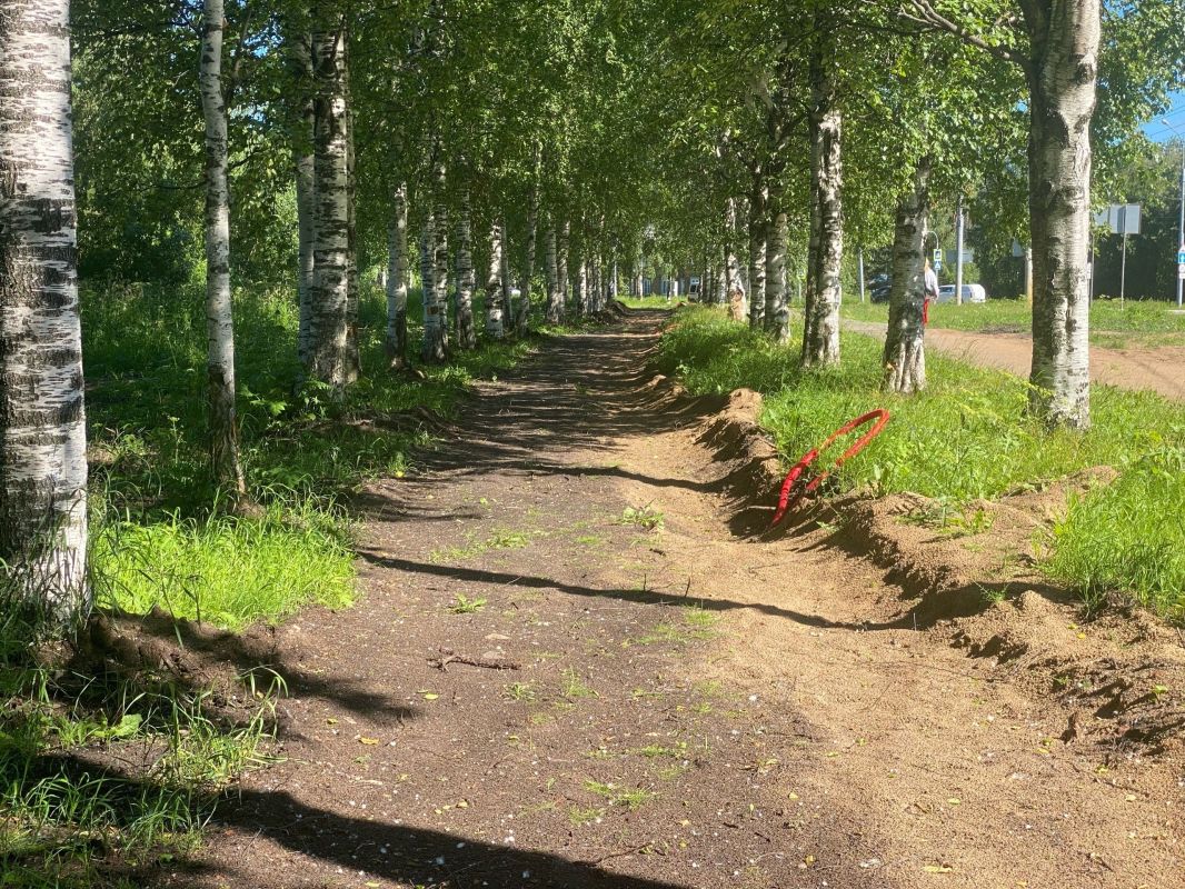 В парке Ломоносова продолжаются работы по благоустройству В парке Ломоносова продолжаются работы по благоустройству