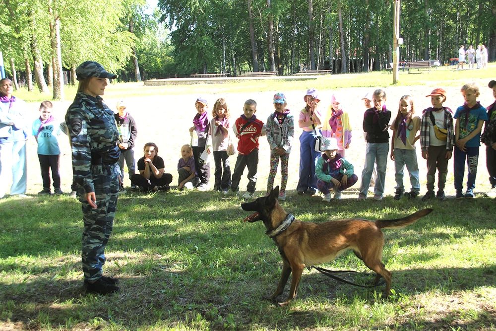 Полицейские-кинологи приняли участие в профориентационном мероприятии для юных жителей города Новодвинска Полицейские-кинологи приняли участие в профориентационном мероприятии для юных жителей города Новодвинска