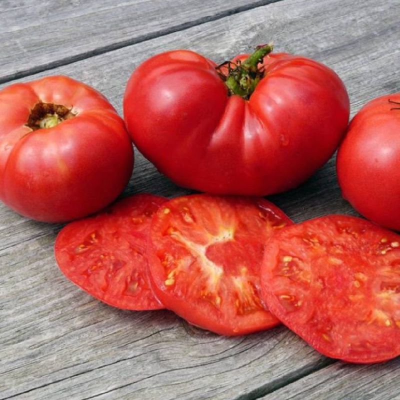 Томат Новый большой гном: компактный куст, крупные плоды и простота ухода