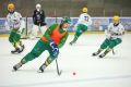 России появился официальный День хоккея