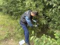 � ����������� ��������� ������� �� ���������� � �������� ���������