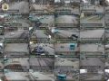 В Архангельске приступили к опытной эксплуатации элементов интеллектуальной транспортной системы