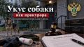 В Пинежском районе по иску прокурора взыскана компенсация морального вреда в пользу ребенка, которого укусила собака