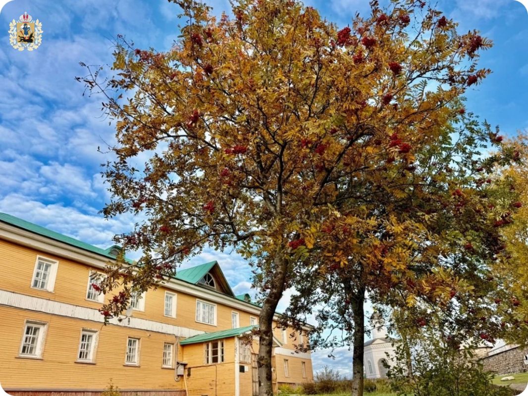Осень учит нас искусству отпускать