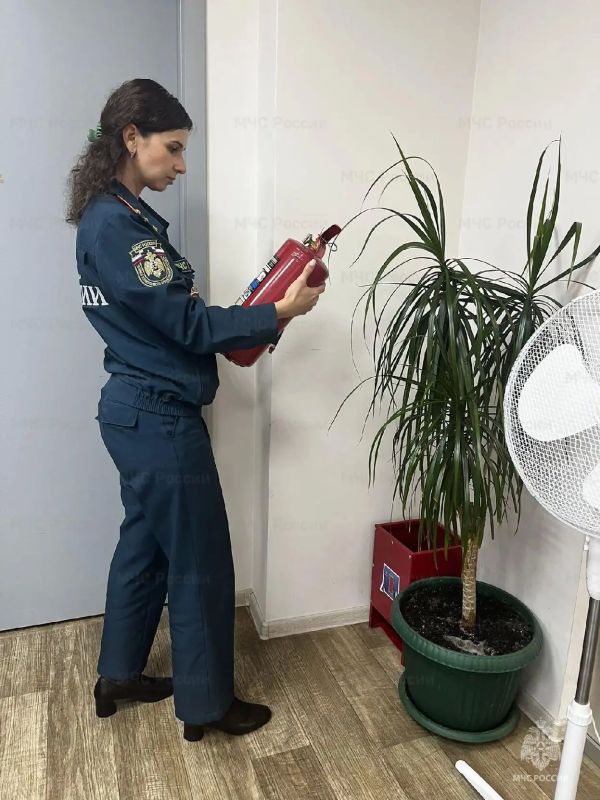Выборы в Архангельской области прошли без происшествий Выборы в Архангельской области прошли без происшествий