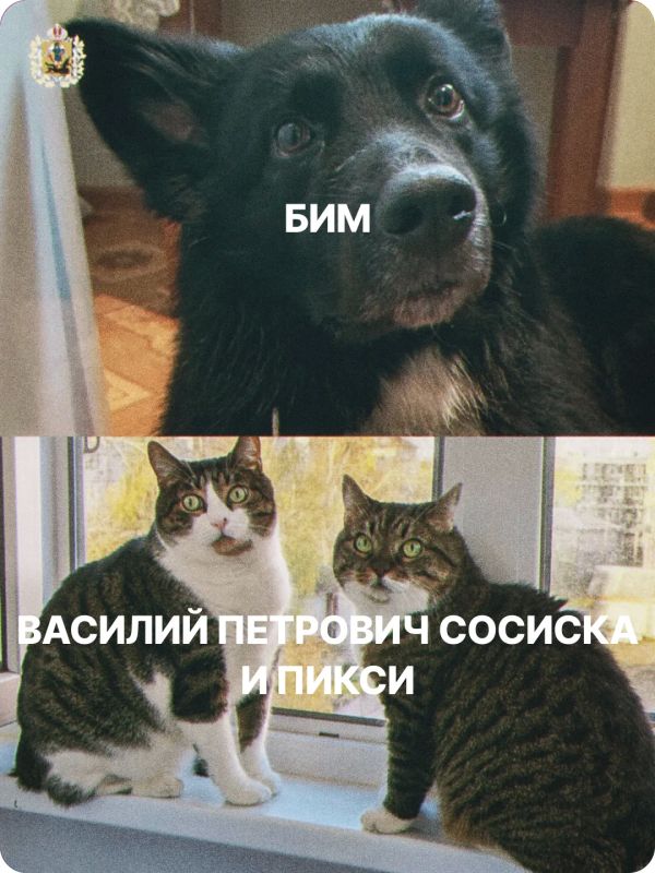 Сегодня – Всемирный день защиты животных! Сегодня – Всемирный день защиты животных!