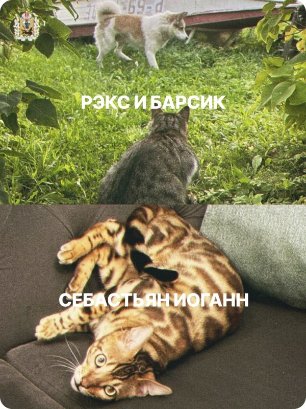 Сегодня – Всемирный день защиты животных! Сегодня – Всемирный день защиты животных!