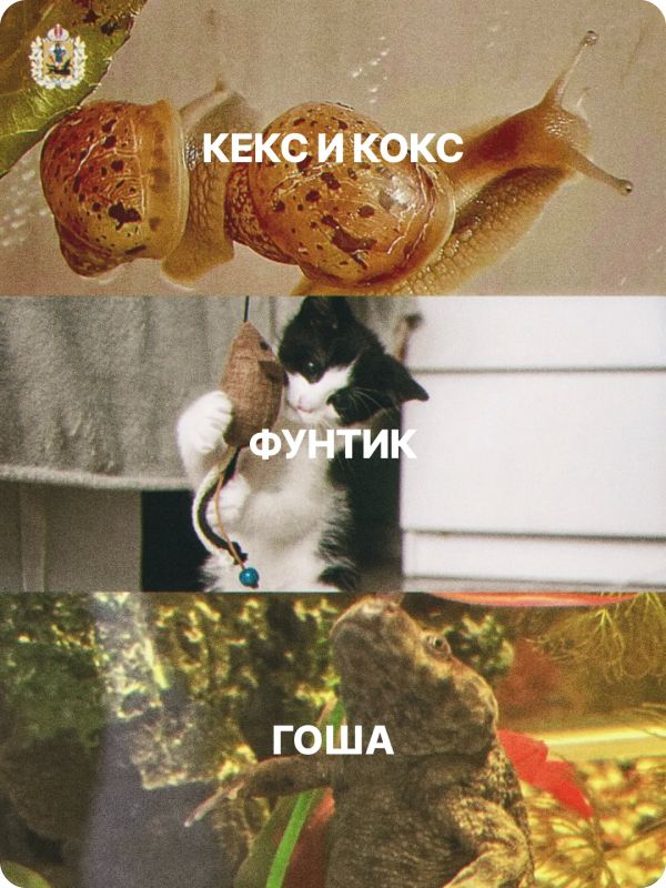 Сегодня – Всемирный день защиты животных! Сегодня – Всемирный день защиты животных!