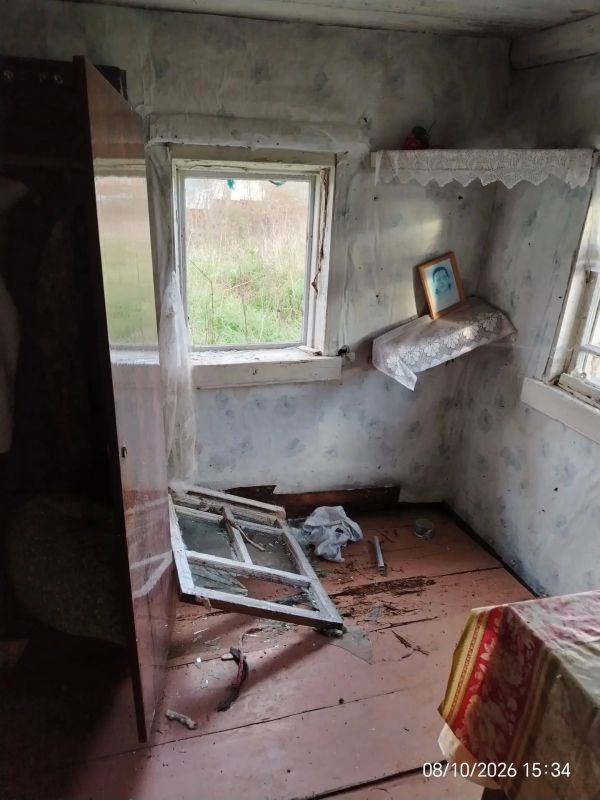 поморских деревнях медведи продолжают громить дома поморских деревнях медведи продолжают громить дома