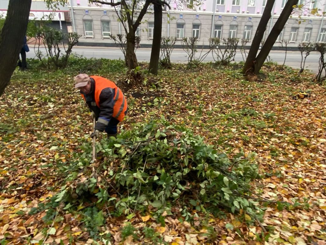 «Чистый город» проводит осеннюю подрезку кустов «Чистый город» проводит осеннюю подрезку кустов