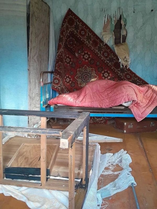 поморских деревнях медведи продолжают громить дома поморских деревнях медведи продолжают громить дома