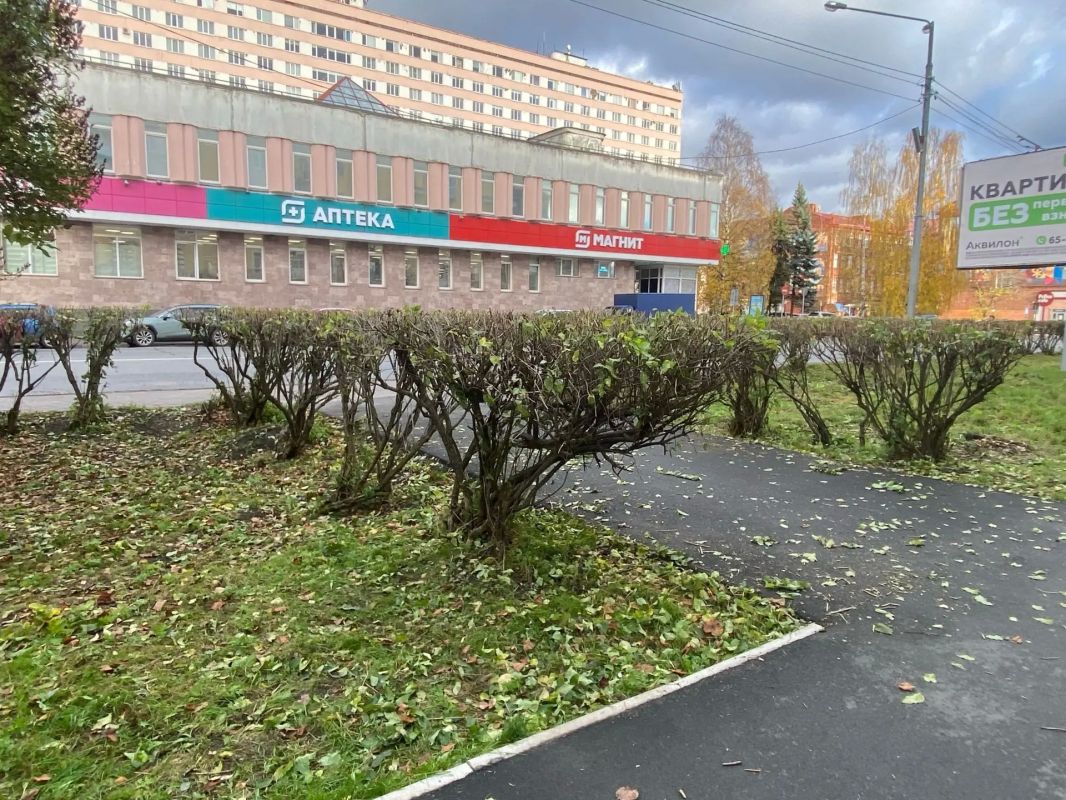 «Чистый город» проводит осеннюю подрезку кустов «Чистый город» проводит осеннюю подрезку кустов