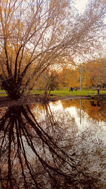 Осень — одно из красивейших времён года Осень — одно из красивейших времён года