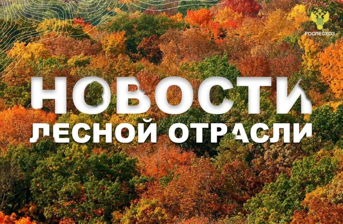 Московский Комсомолец: В Подмосковье восстановят 900 гектаров леса